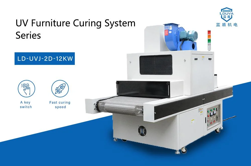 CE Standard UV Curing Machine for with Stainless Steel Chain Plate